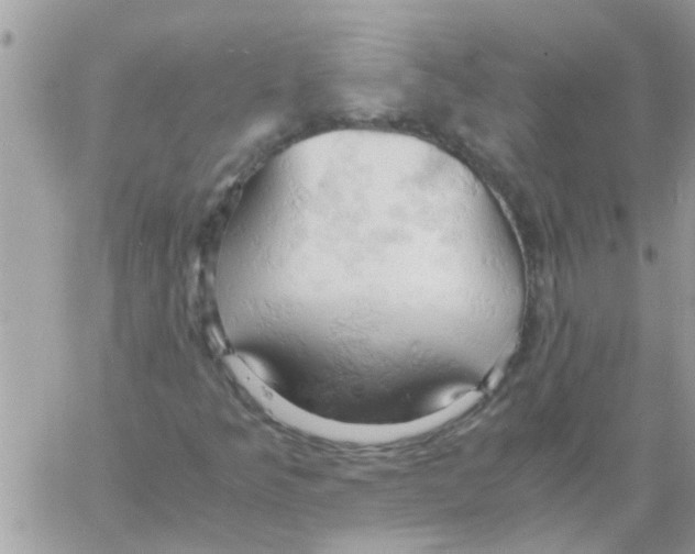 X0000061741349200512302201