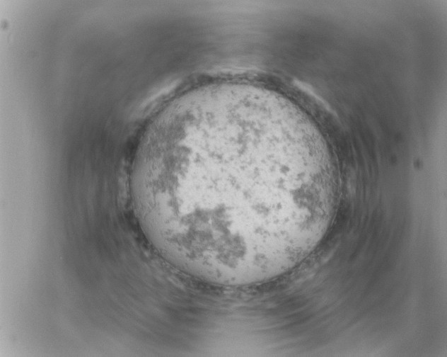 X0000061741350200512302201