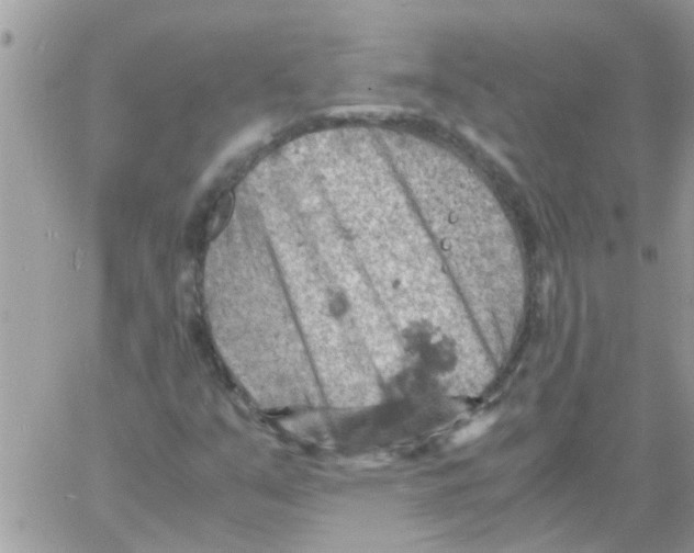 X0000061741351200512302201