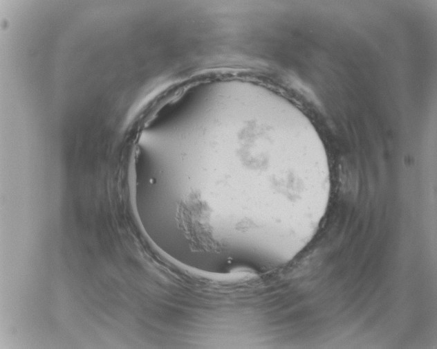 X0000061741352200512302201