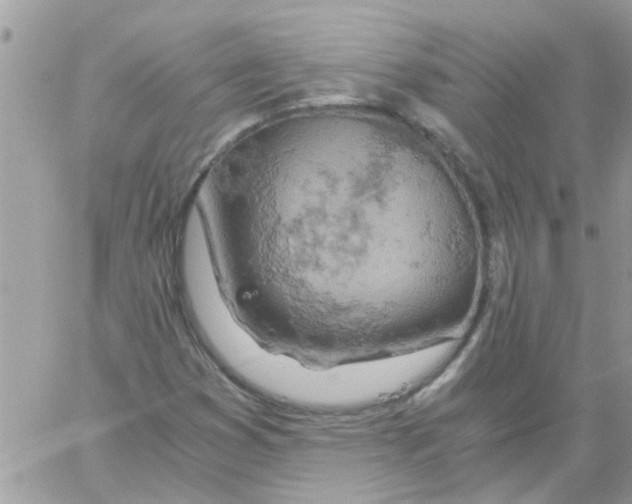 X0000061741353200512302201