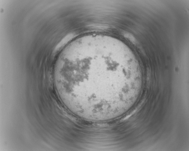 X0000061741354200512302201