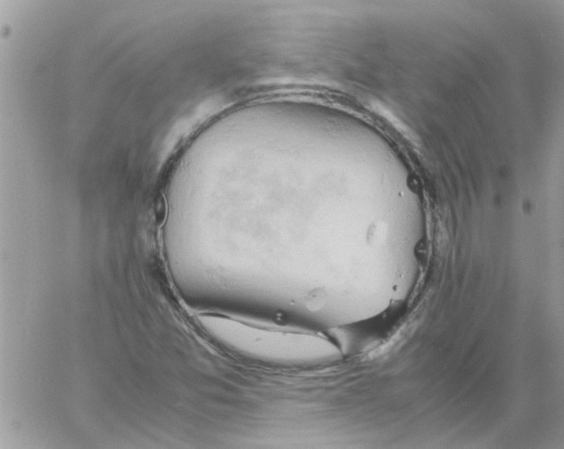 X0000061741357200512302201