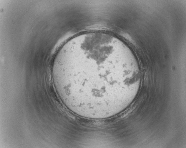 X0000061741358200512302201