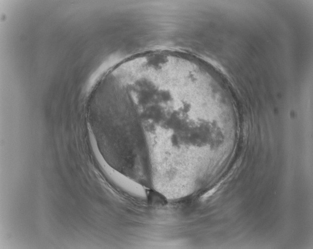 X0000061741359200512302201