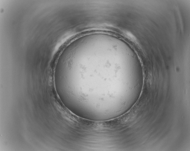 X0000061741360200512302201