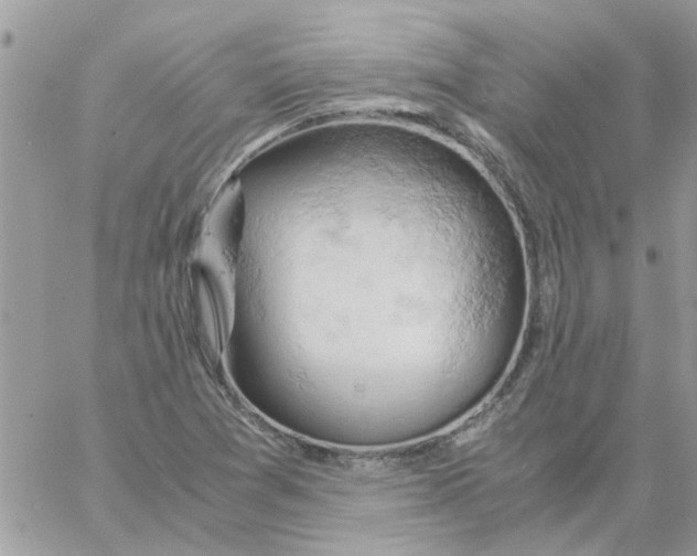 X0000061741361200512302201