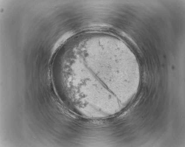 X0000061741362200512302201