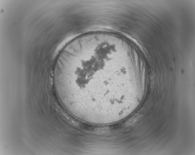 X0000061741363200512302201