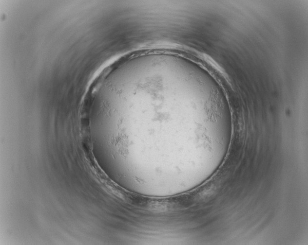 X0000061741364200512302201