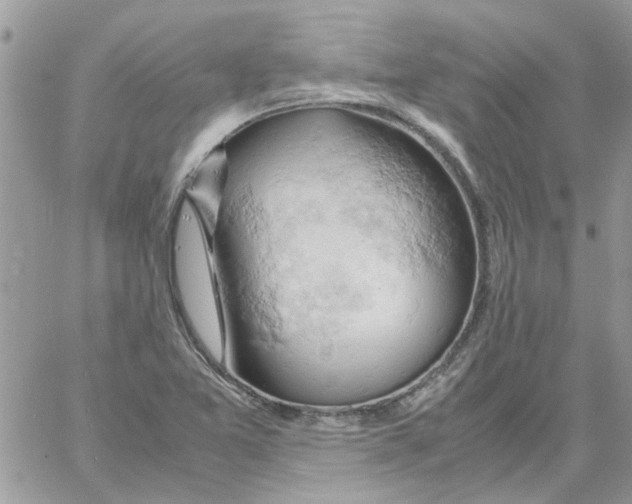 X0000061741365200512302201