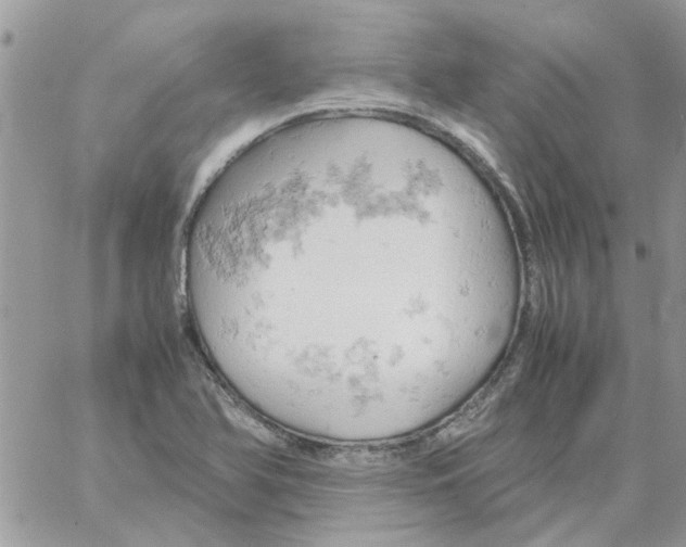 X0000061741366200512302200