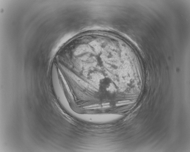 X0000061741367200512302200