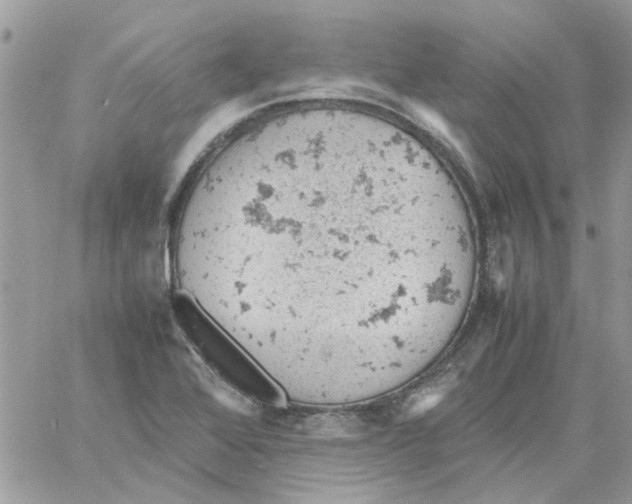 X0000061741368200512302200