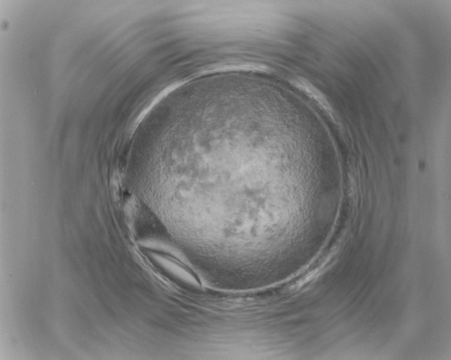 X0000061741369200512302200