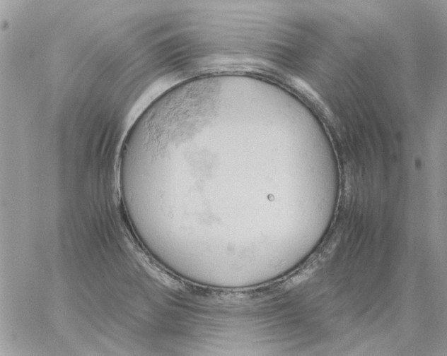 X0000061741370200512302200