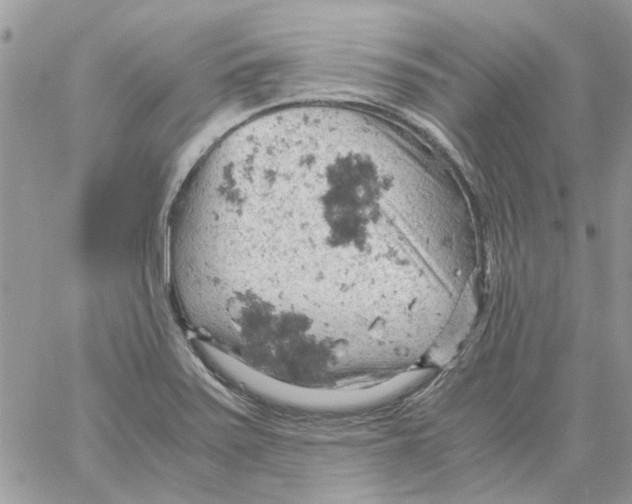 X0000061741371200512302200