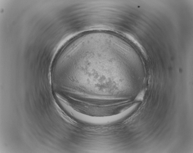 X0000061741372200512302200