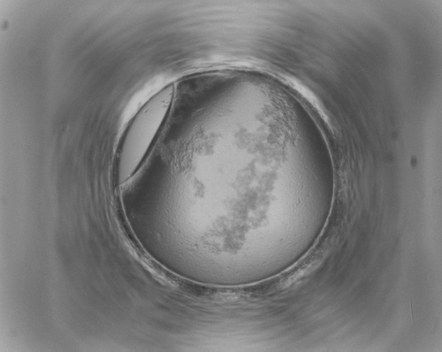 X0000061741373200512302200