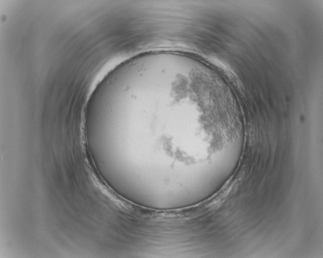 X0000061741374200512302200