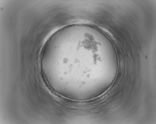 X0000061741375200512302200