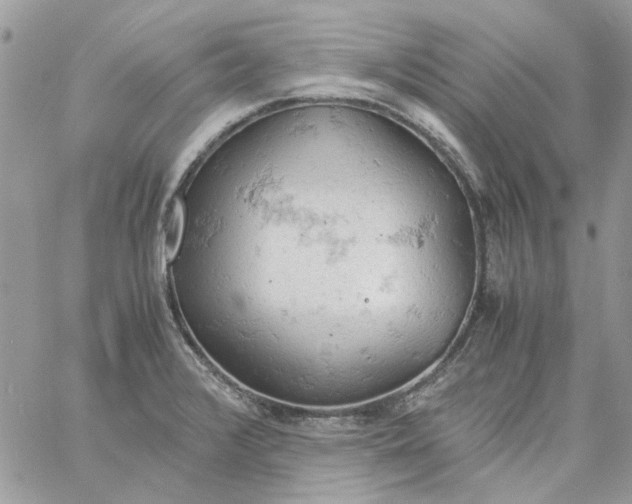 X0000061741376200512302200