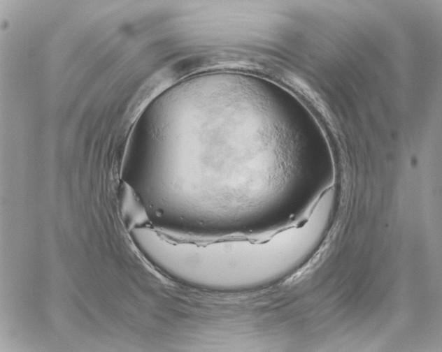 X0000061741377200512302200