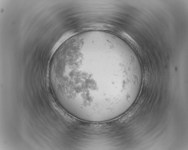 X0000061741378200512302200