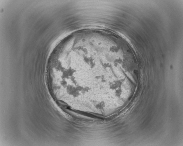 X0000061741379200512302200