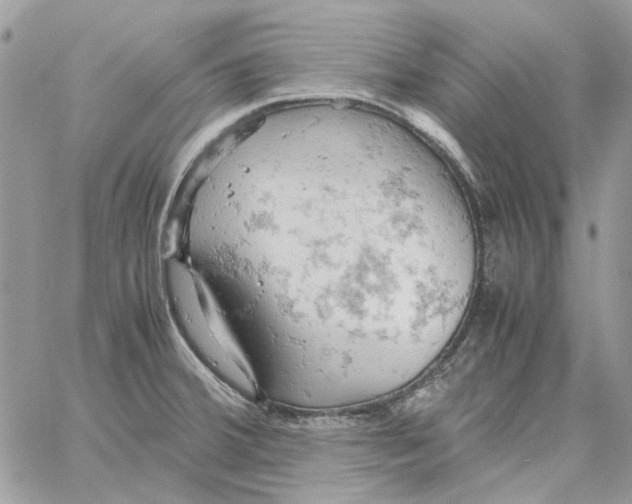 X0000061741380200512302200