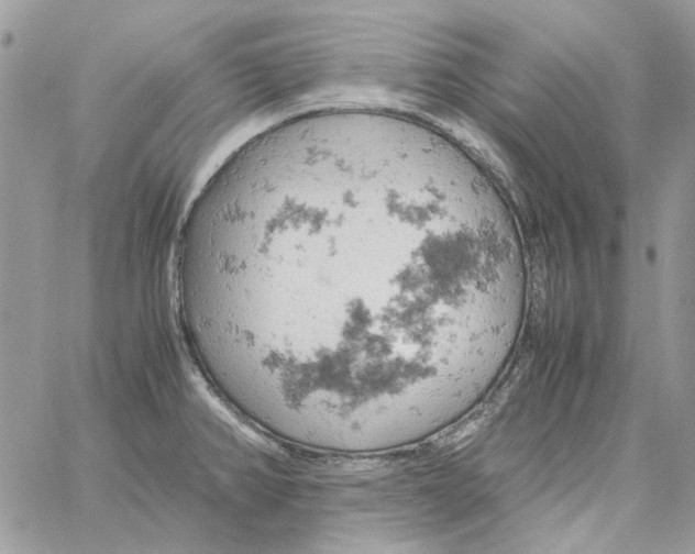 X0000061741382200512302200