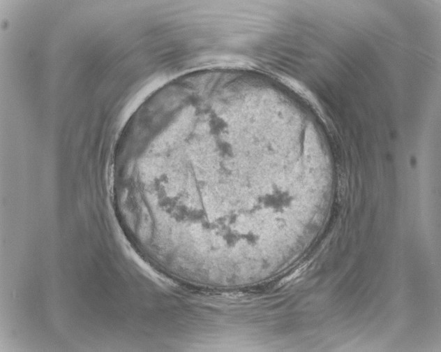 X0000061741383200512302200