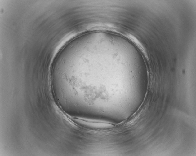 X0000061741384200512302200