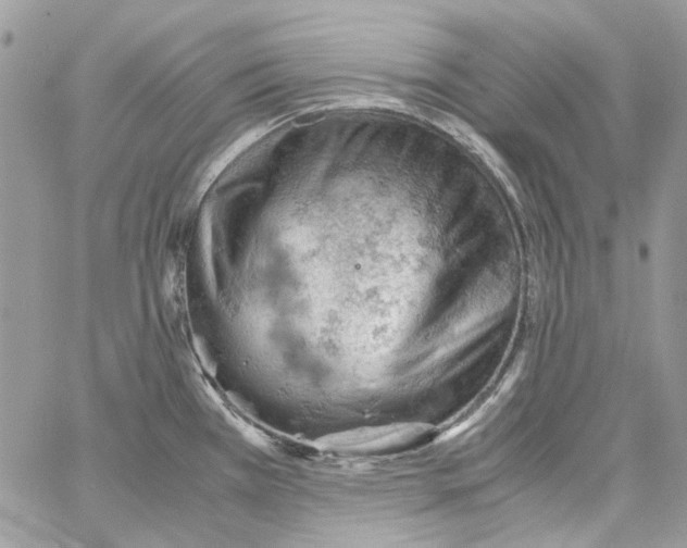 X0000061741385200512302200