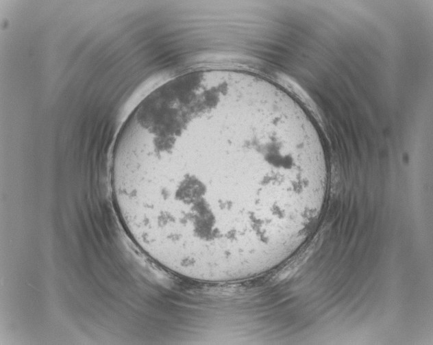 X0000061741386200512302200