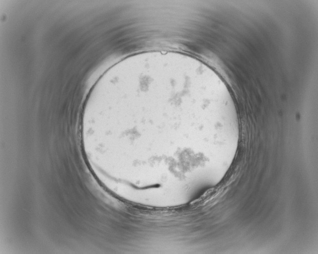 X0000061741387200512302200