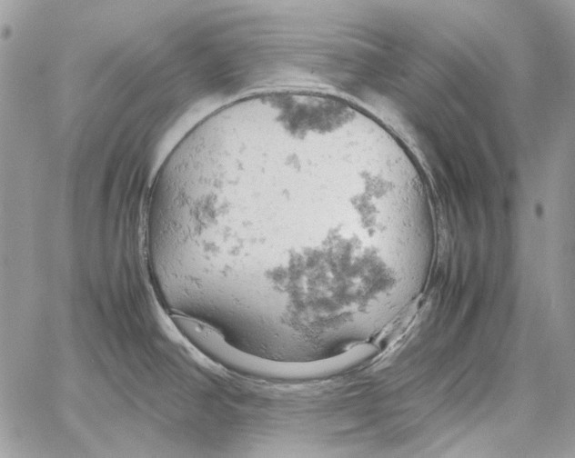 X0000061741390200512302200