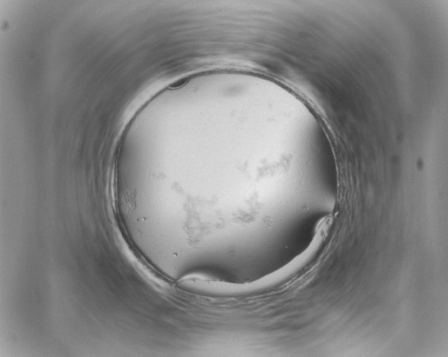 X0000061741391200512302200