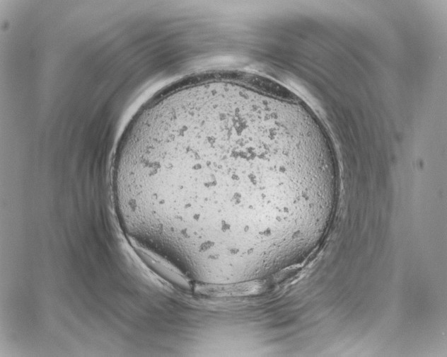 X0000061741392200512302200