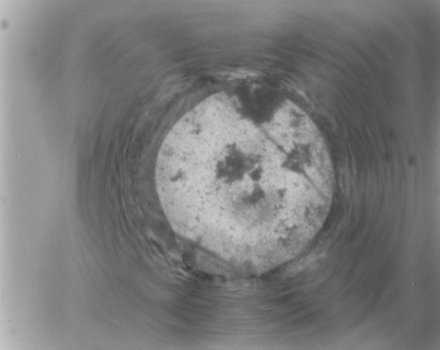 X0000061741393200512302159