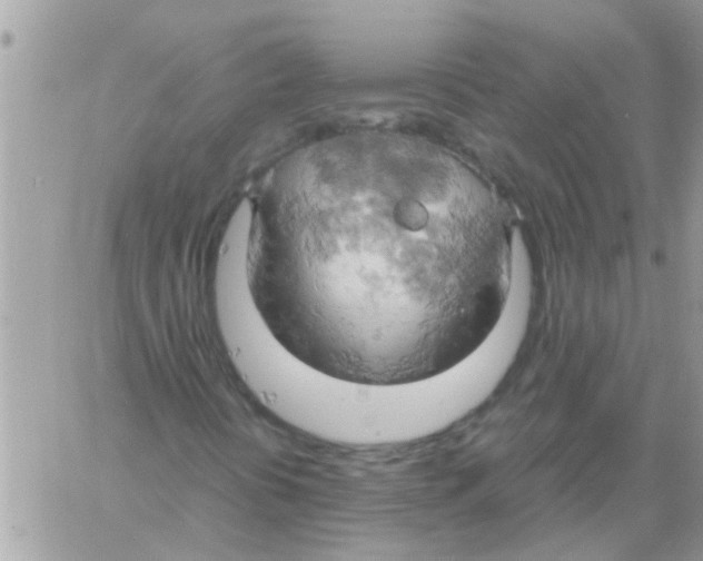 X0000061741394200512302159