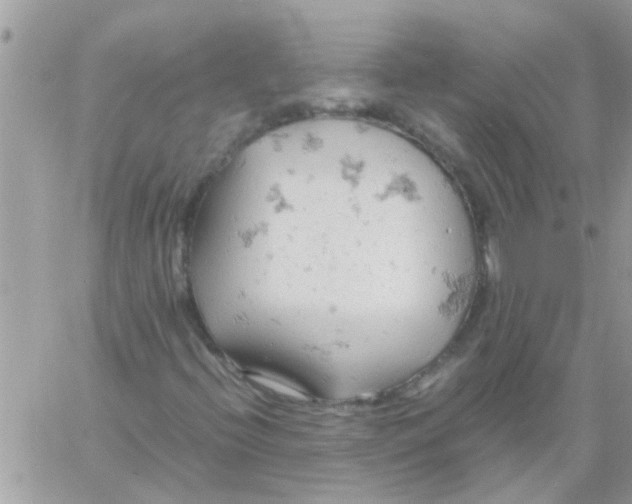 X0000061741396200512302159