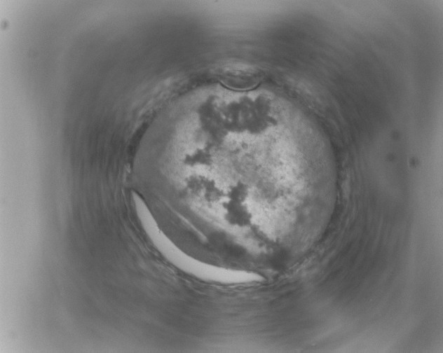 X0000061741397200512302159