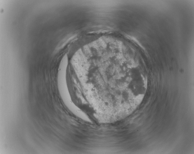 X0000061741399200512302159