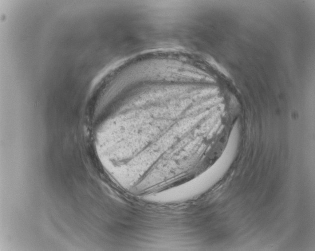 X0000061741400200512302159