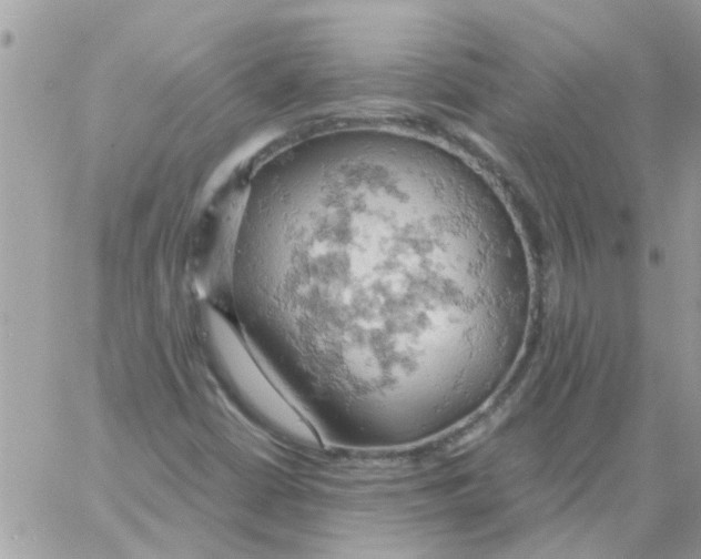 X0000061741402200512302159