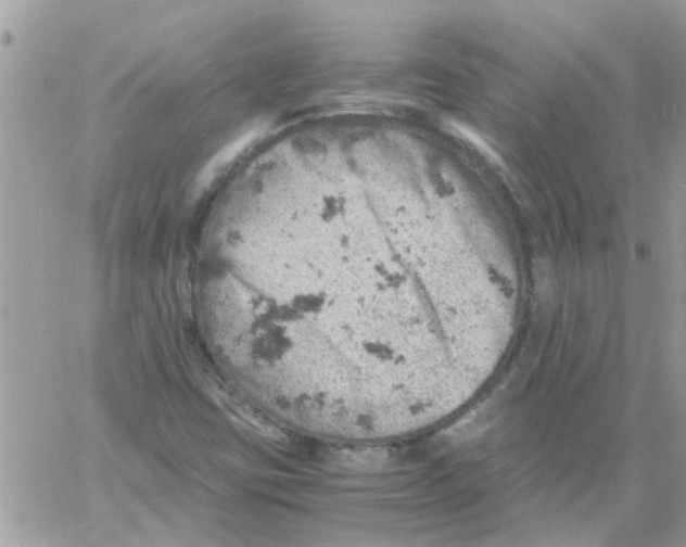 X0000061741403200512302159