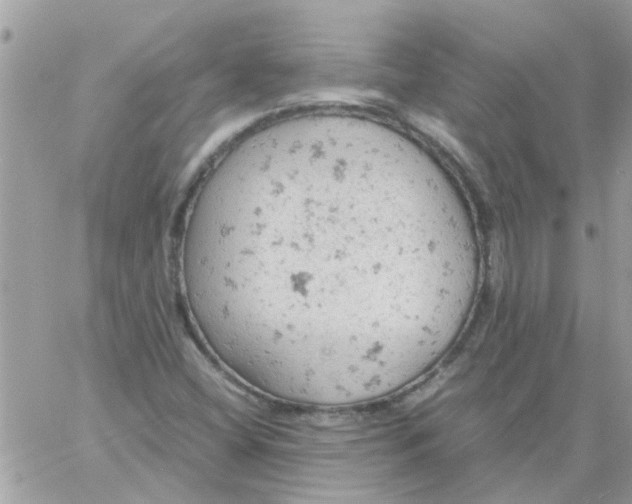 X0000061741404200512302159