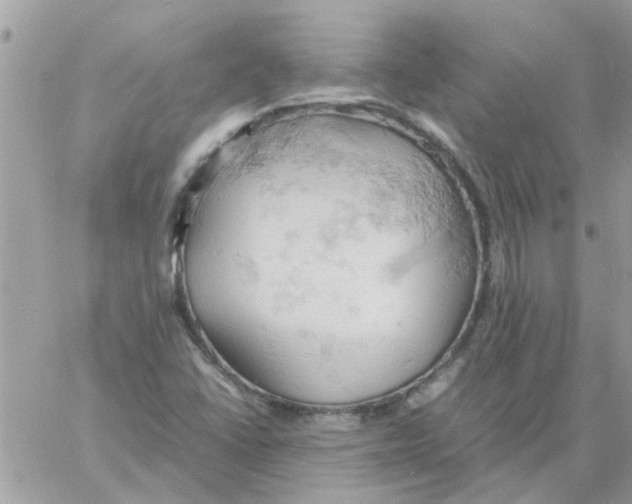 X0000061741406200512302159