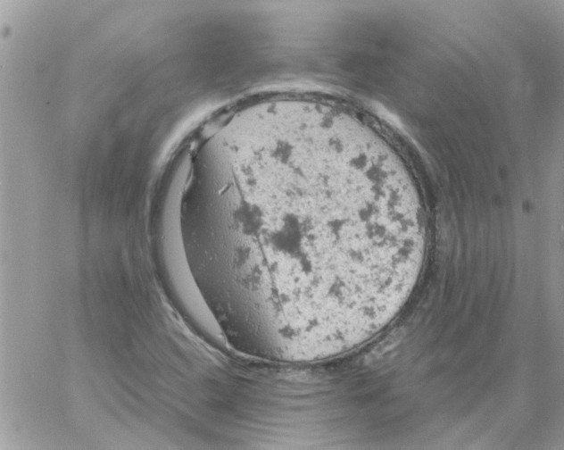 X0000061741408200512302200